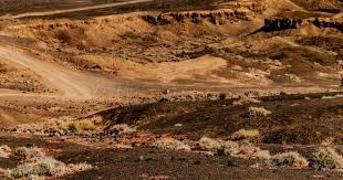 萨尔19+6 奇才战胜篮网